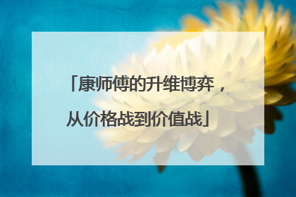 康师傅的升维博弈，从价格战到价值战