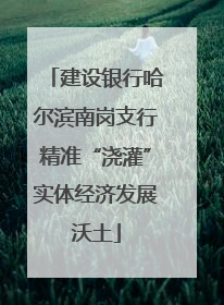 建设银行哈尔滨南岗支行精准“浇灌”实体经济发展沃土