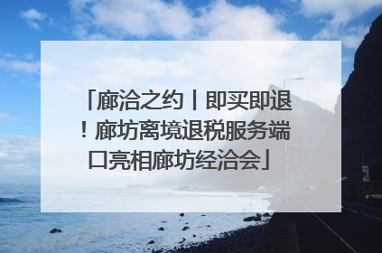 廊洽之约丨即买即退！廊坊离境退税服务端口亮相廊坊经洽会
