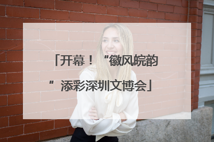 开幕！“徽风皖韵”添彩深圳文博会