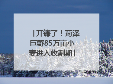 开镰了！菏泽巨野85万亩小麦进入收割期