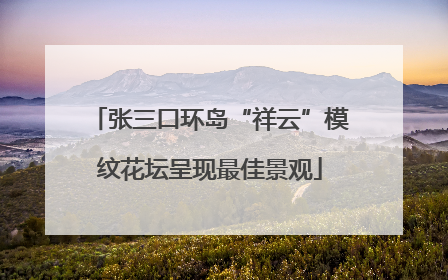 张三口环岛“祥云”模纹花坛呈现最佳景观