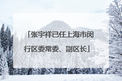张宇祥已任上海市闵行区委常委、副区长