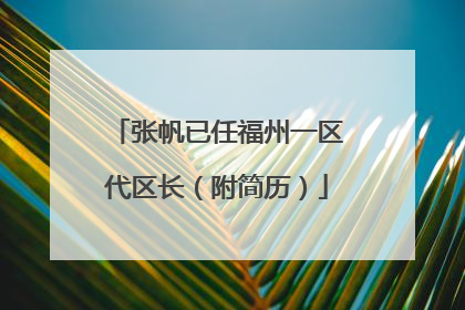 张帆已任福州一区代区长（附简历）