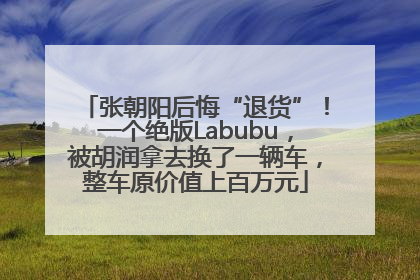张朝阳后悔“退货”！一个绝版Labubu，被胡润拿去换了一辆车，整车原价值上百万元