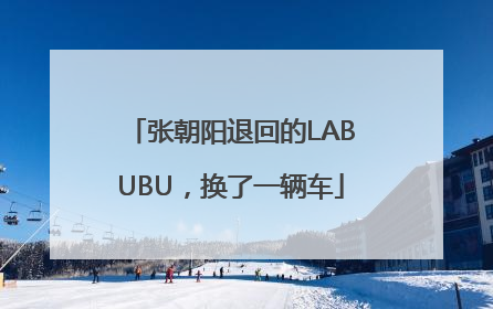 张朝阳退回的LABUBU，换了一辆车