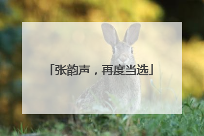 张韵声，再度当选