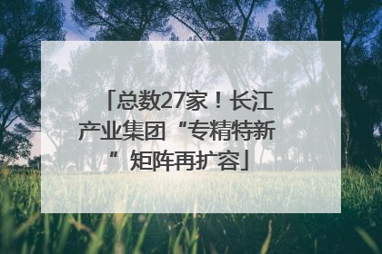 总数27家！长江产业集团“专精特新”矩阵再扩容