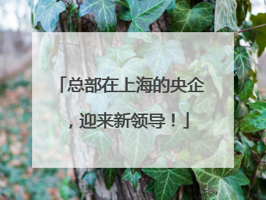 总部在上海的央企，迎来新领导！
