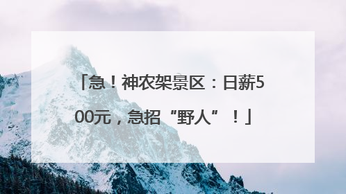 急！神农架景区：日薪500元，急招“野人”！
