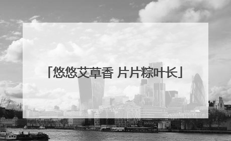 悠悠艾草香 片片粽叶长