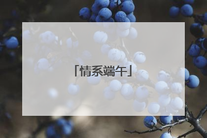 情系端午
