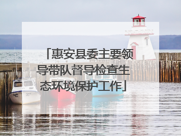 惠安县委主要领导带队督导检查生态环境保护工作