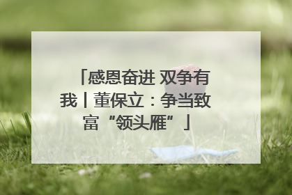感恩奋进 双争有我丨董保立：争当致富“领头雁”