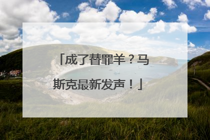 成了替罪羊？马斯克最新发声！