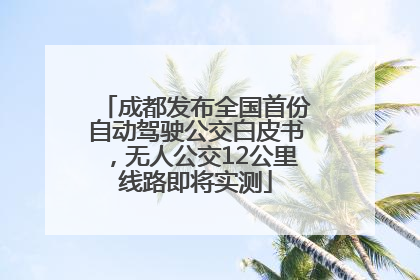 成都发布全国首份自动驾驶公交白皮书，无人公交12公里线路即将实测