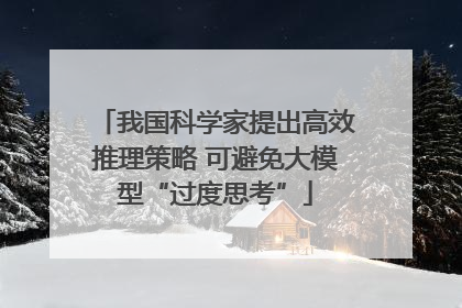 我国科学家提出高效推理策略 可避免大模型“过度思考”