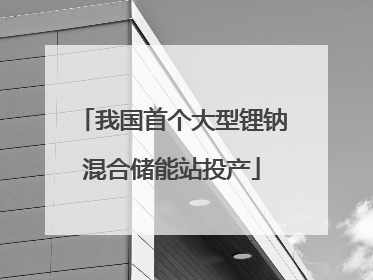 我国首个大型锂钠混合储能站投产