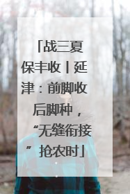 战三夏 保丰收丨延津：前脚收 后脚种，“无缝衔接”抢农时