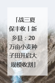 战三夏 保丰收丨新乡县：20万亩小麦种子田开启大规模收割