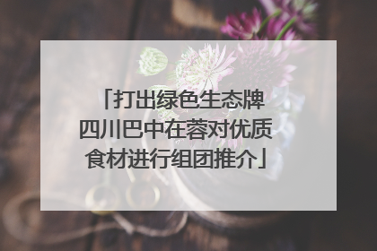 打出绿色生态牌 四川巴中在蓉对优质食材进行组团推介