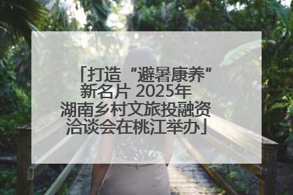 打造“避暑康养”新名片 2025年湖南乡村文旅投融资洽谈会在桃江举办