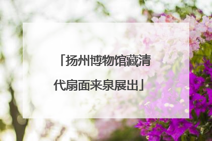 扬州博物馆藏清代扇面来泉展出