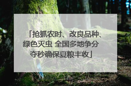 抢抓农时、改良品种、绿色灭虫 全国多地争分夺秒确保夏粮丰收