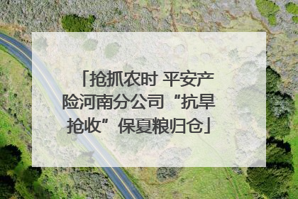 抢抓农时 平安产险河南分公司“抗旱抢收”保夏粮归仓
