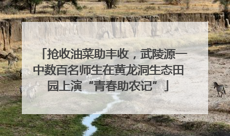 抢收油菜助丰收，武陵源一中数百名师生在黄龙洞生态田园上演“青春助农记”