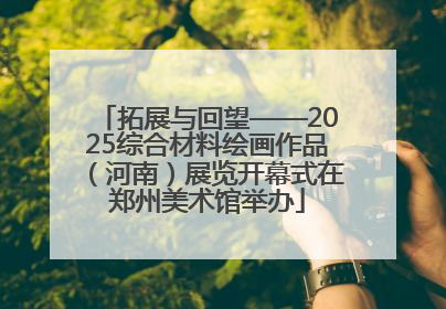 拓展与回望——2025综合材料绘画作品（河南）展览开幕式在郑州美术馆举办