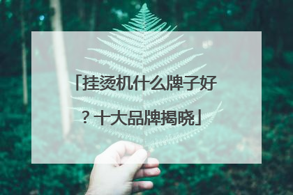 挂烫机什么牌子好？十大品牌揭晓