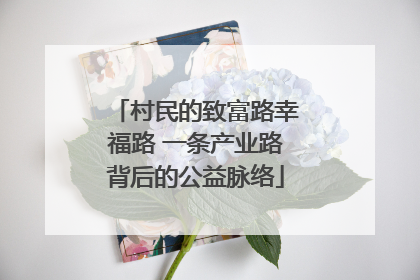 村民的致富路幸福路 一条产业路背后的公益脉络