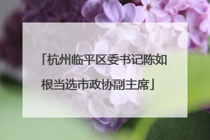 杭州临平区委书记陈如根当选市政协副主席
