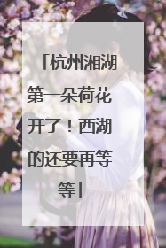 杭州湘湖第一朵荷花开了！西湖的还要再等等
