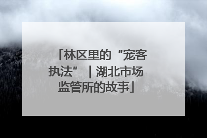 林区里的“宠客执法”｜湖北市场监管所的故事