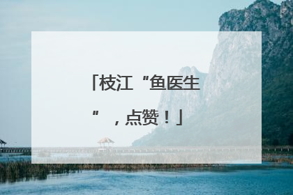 枝江“鱼医生”，点赞！