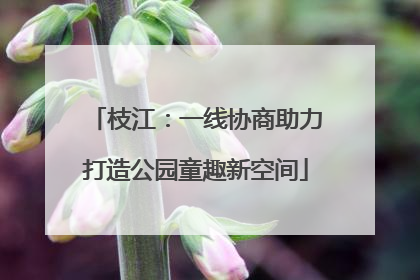 枝江：一线协商助力打造公园童趣新空间