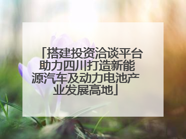 搭建投资洽谈平台 助力四川打造新能源汽车及动力电池产业发展高地