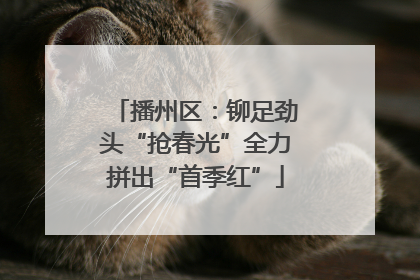 播州区：铆足劲头“抢春光”全力拼出“首季红”