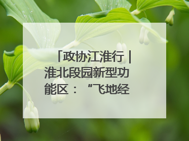 政协江淮行｜淮北段园新型功能区：“飞地经济”拔节生长