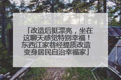 改造后挺漂亮，坐在这聊天感觉特别幸福！东西江家巷经提质改造变身居民自治幸福家