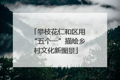 攀枝花仁和区用“五个一”描绘乡村文化新图景