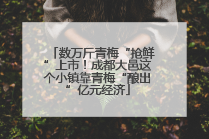 数万斤青梅“抢鲜”上市！成都大邑这个小镇靠青梅“酿出”亿元经济