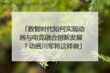 数智时代如何实现动画与电竞融合创新发展？动画川军将这样做