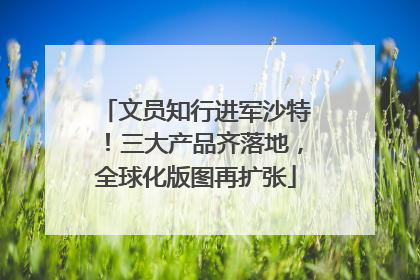 文员知行进军沙特！三大产品齐落地，全球化版图再扩张