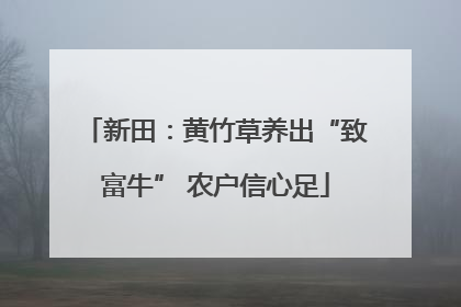 新田：黄竹草养出“致富牛” 农户信心足