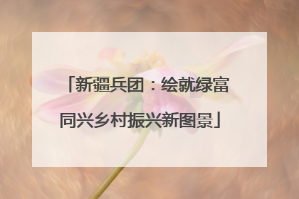 新疆兵团：绘就绿富同兴乡村振兴新图景