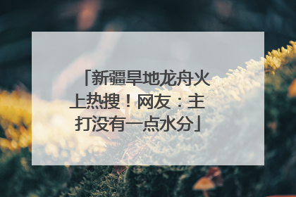 新疆旱地龙舟火上热搜！网友：主打没有一点水分