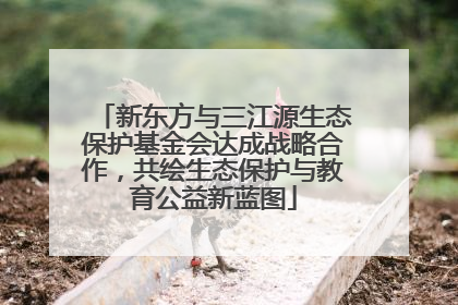 新东方与三江源生态保护基金会达成战略合作，共绘生态保护与教育公益新蓝图